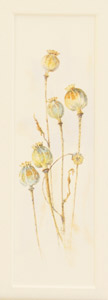 poppyseedhead